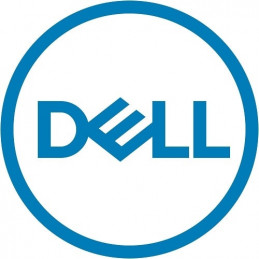 DELL 161-BBPH sisäinen kiintolevy 3.5" 4 TB NL-SAS