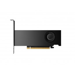 PNY RTX2000 Ada NVIDIA RTX 2000 Ada 16 GB GDDR6