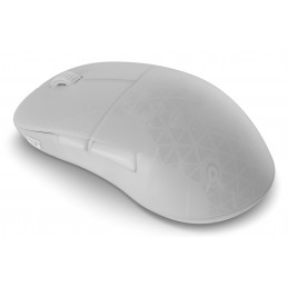 Endgame Gear XM2w 4k v2 hiiri Pelaaminen Oikeakätinen RF Wireless + USB Type-A Optinen 30000 DPI