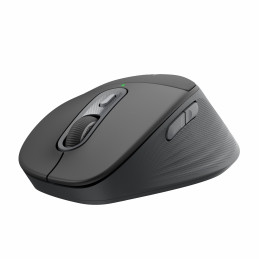 Logitech Signature Comfort Plus M850 L hiiri Universaali Oikeakätinen RF Wireless + Bluetooth Optinen 4000 DPI