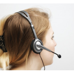 Logitech H111 Kuulokkeet Pääpanta 3,5 mm liitin Harmaa
