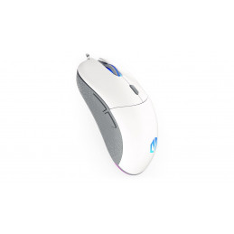 ENDORFY GEM hiiri Molempikätinen USB Type-C Optinen 8000 DPI