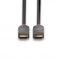 Lindy 36486 DisplayPort-kaapeli 10 m Musta
