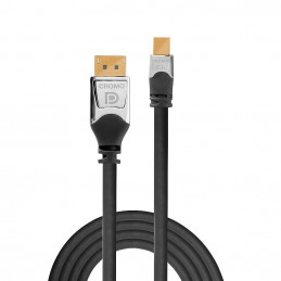 Lindy 36310 DisplayPort-kaapeli 0,5 m Mini DisplayPort Harmaa