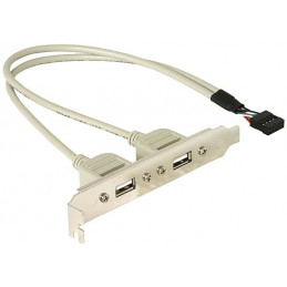 DeLOCK Slotbracket 1x internal USB 5pin  2x USB2.0 external USB-kaapeli 0,3 m USB A Valkoinen