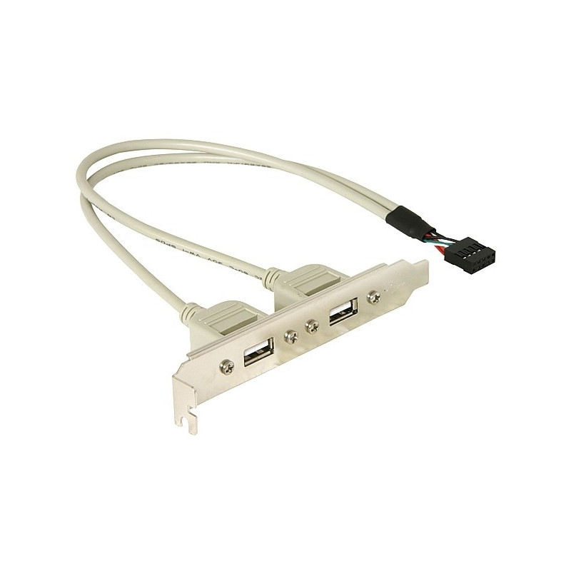 DeLOCK Slotbracket 1x internal USB 5pin  2x USB2.0 external USB-kaapeli 0,3 m USB A Valkoinen