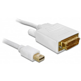 DeLOCK 82918 videokaapeli-adapteri 2 m mini Displayport Valkoinen